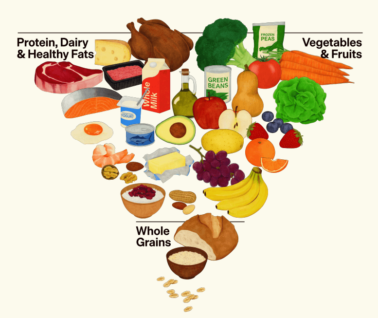 The New Food Pyramid for 2026