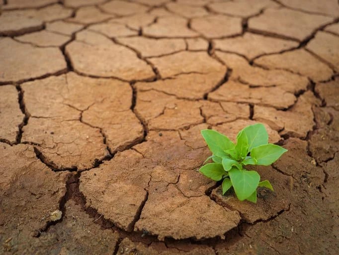 Resilience Isn’t Just a Mindset